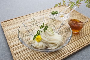 氷見うどん