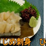 昆布〆さしみ　 ひらめ